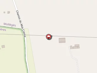 Carte de Dumas Sylvain à Mollégès