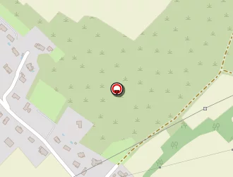 Carte de Régis Alain à Castelnau-d'estrétefonds