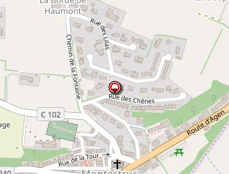 Carte de Truilhé Françoise à Montestruc-sur-gers