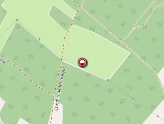 Carte de Peyronne Daniel à Castelnau-d'estrétefonds