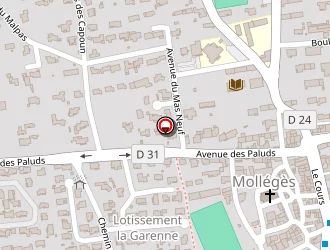 Carte de Codev à Mollégès