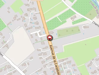 Carte de Le Micro Dansant à Cheval-blanc