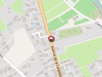 Carte de Vg Elec à Cheval-blanc