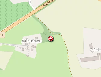 Carte de Flassayer Sylvain Ramonage à Manciet