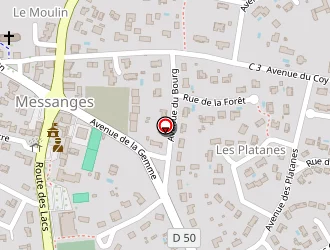 Carte de Conforeco Immobilier à Messanges