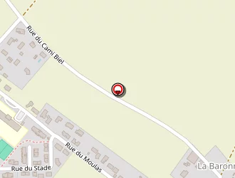 Carte de Donat Frédéric à Mirepoix-sur-tarn