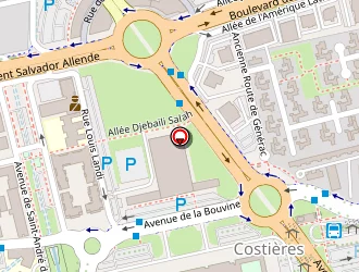 Carte de Nimes Olympique à Nîmes