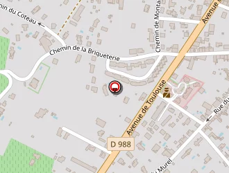 Carte de Guibal Marjorie à Rabastens