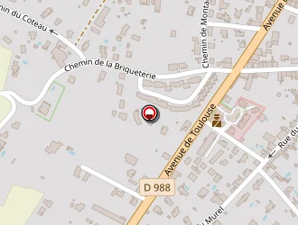 Carte de Negre & Ginoulhac (scp) à Rabastens