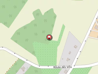 Carte de Saunier Eric à Villematier