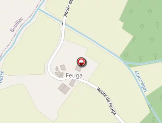 Carte de De Feuga (earl) à Beaupuy