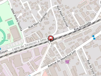 Carte de Profil+ Massa Pneus Adhérent à Nîmes