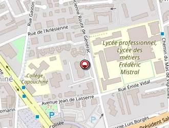 Carte de Hippopotamus à Nîmes