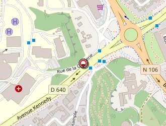 Carte de Ram Papillon Vole à Nîmes