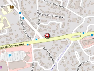 Carte de Canayer Laurent à Caveirac