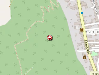 Carte de Ledoux Patricia à Camarès