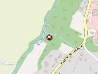 Carte de Thomas Jean Luc à Fronton