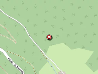 Carte de Meiring Frances à Sylvanès