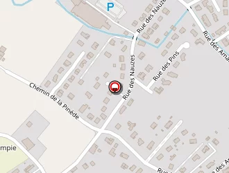 Carte de Nv Elec à Grisolles