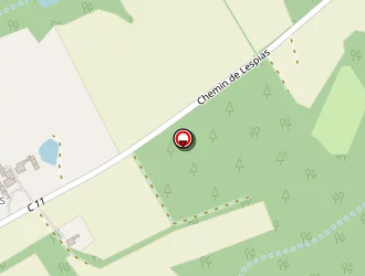 Carte de Marty Lucie à Eauze