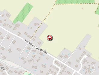 Carte de Béatrice Peloille à Fronton