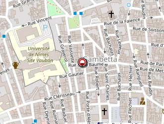 Carte de Vidier Vincent à Nîmes