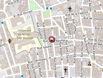 Carte de Ecole Saint Vincent à Nîmes