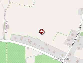 Carte de Castelli Jacques à Fleurance