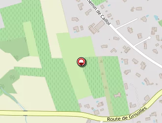 Carte de Tison Thierry à Fronton