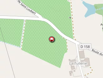 Carte de Truau Georges à Roques