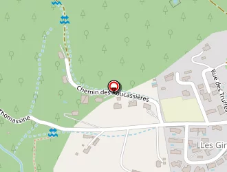 Carte de Coupe Mickaël à Manosque