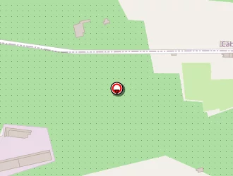 Carte de Iroko à Saint-andiol