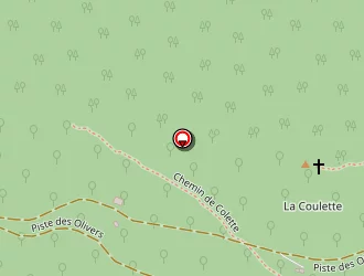 Carte de Revel Pierre à Conségudes