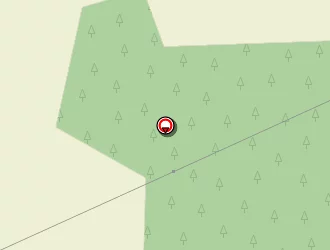 Carte de Castella Xavier à Bostens