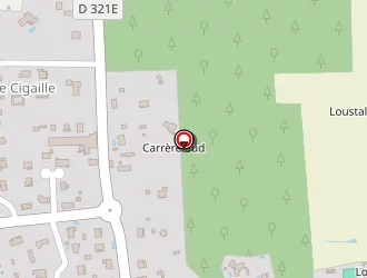 Carte de Taille Laurène à Bretagne-de-marsan