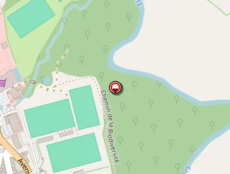 Carte de Cinéma Grand Angle à Fleurance