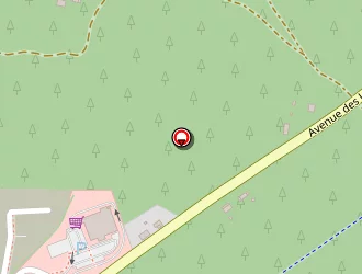 Carte de Cerqueira Catherine à Moliets-et-maa