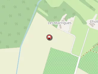 Carte de Ecole-collège Saint Taurin à Eauze