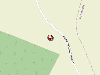 Carte de Faliguerho Hélène à Grazac