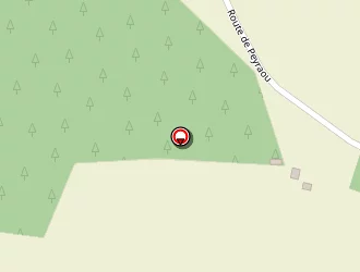 Carte de Briole Philippe à Campagne