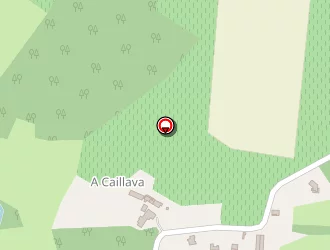 Carte de Capes Manuel à Réans