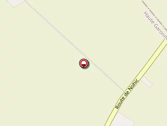 Carte de Salmona Guy à Fronton