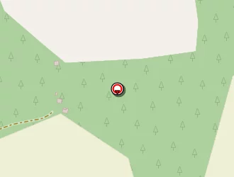 Carte de Losic Elisa à Taller