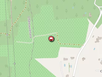 Carte de Morcillo Angèl à Noves