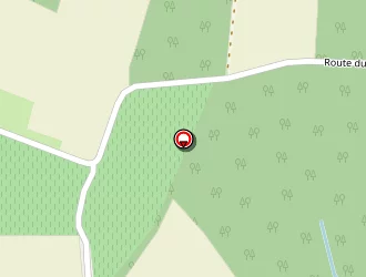 Carte de Laffitte Jean-bernard à Estang