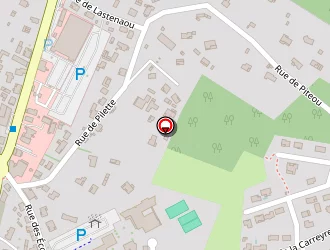 Carte de Da Silva électricité à Léon