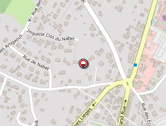 Carte de Chaton Véronique à Léon