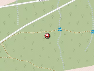 Carte de Maxximum Protection à Nîmes