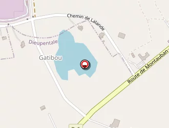 Carte de Saint Jean Logistique à Dieupentale