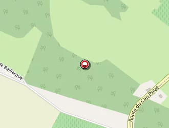 Carte de Pierce Sarah à Cazaubon